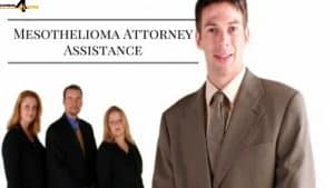 Best Mesothelioma Attorney